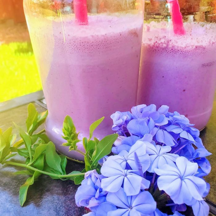 Strawberry Blueberry-infused Nutrient Smoothie